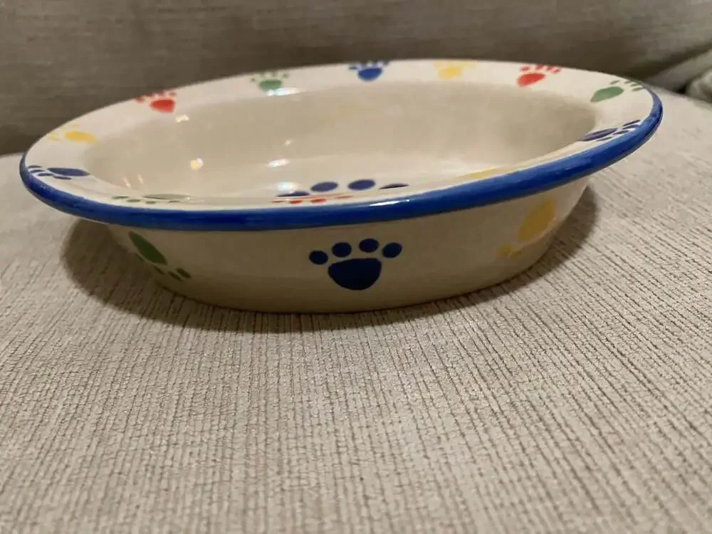 Rainbow Paw Pet Bowl 6.5 by 5.25, 1 inch deep
